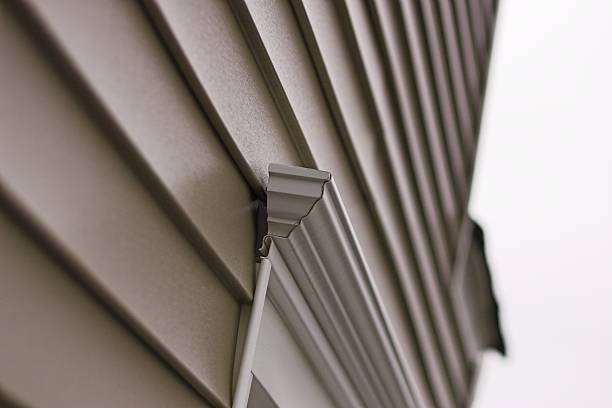 Understanding the Pros and Cons of Vinyl Siding